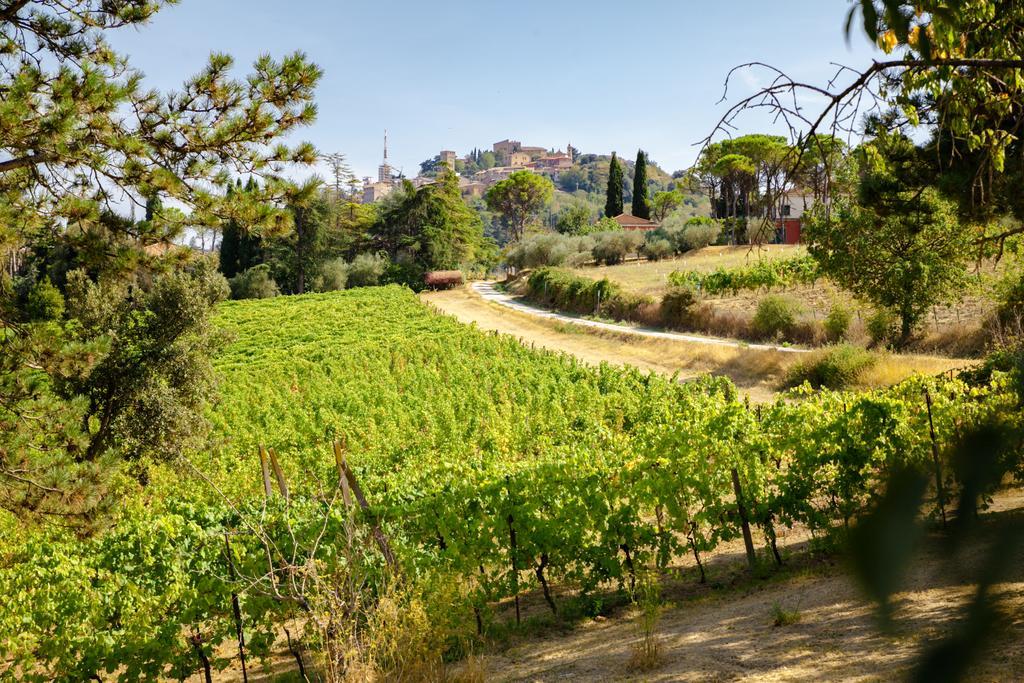 Il Vigneto Cottage Bertinoro Buitenkant foto