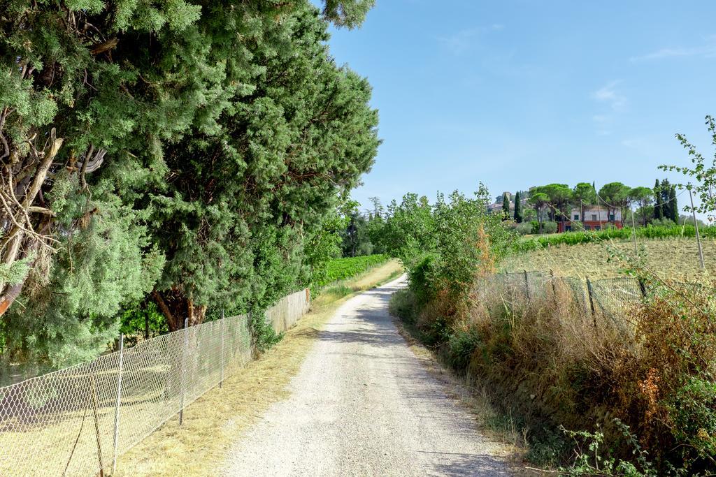Il Vigneto Cottage Bertinoro Buitenkant foto