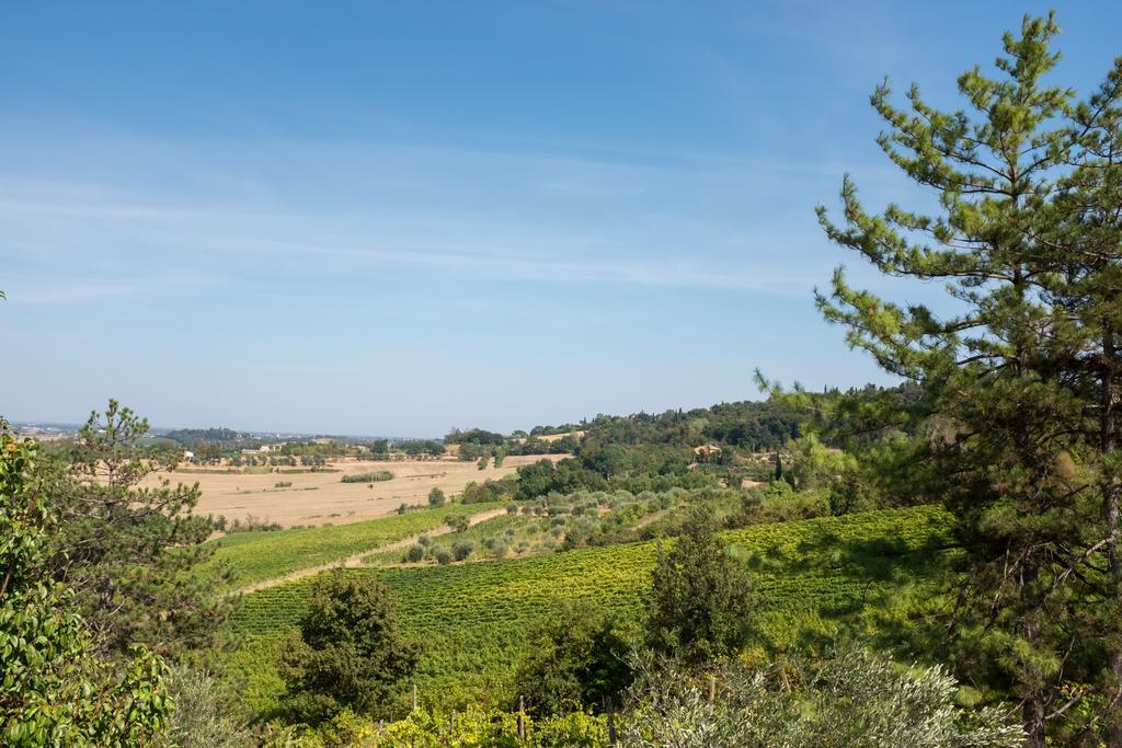 Il Vigneto Cottage Bertinoro Buitenkant foto