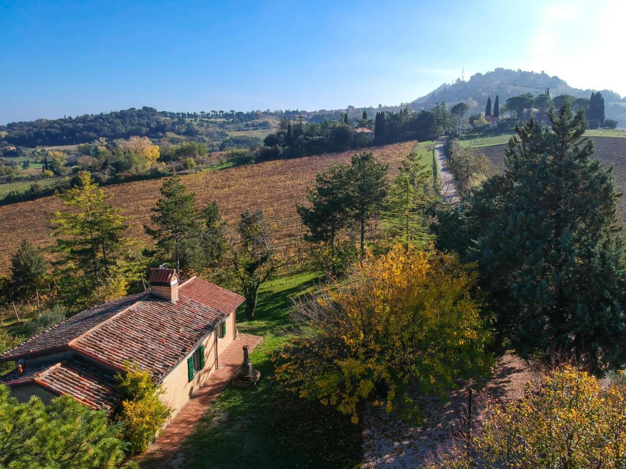 Il Vigneto Cottage Bertinoro Buitenkant foto